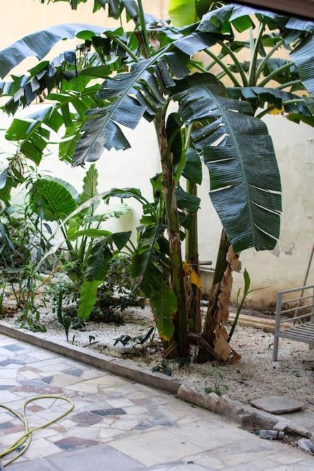 Garden Apt Διαμέρισμα Αθήνα Εξωτερικό φωτογραφία